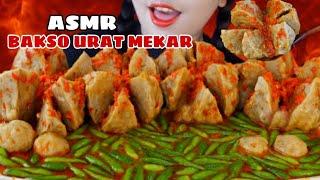 UJI NYALI ASMR BAKSO URAT MEKAR JUMBO BERTABUKAN PULUHAN CABE RAWITPEDESNYA GAK MAIN MAIN