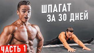 Как СЕСТЬ НА ШПАГАТ за 30 дней?