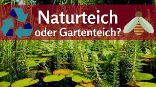 Naturteich oder Gartenteich? Kreislauf und Kapillarsperre bei Teichen