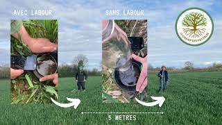 Semis direct VS Labour : Test d'infiltration d'eau