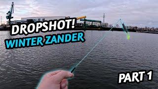 Ist DROPSHOT wirklich die beste Methode für Zander im Winter?