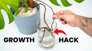 Should You Do THIS To Your Plant?