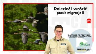 Dolecieć i wrócić – ptasie migracje cz. II / Bartosz Popczyński