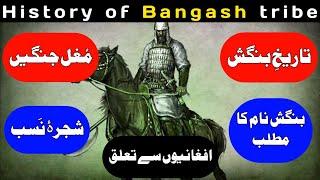 History of bangash  | bangash tribe feamous pashtun history in Urdu/Hindi | Muhammad asif official