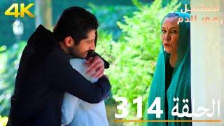 الحلقة 314 | مسلسل زهور الدم | مدبلج بالعربية | Kan Çiçekleri