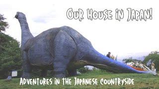 Akiya living: Summer in the Japanese countryside - Community, snakes, Kei cars, and so much fun.