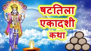 षटतिला एकादशी की कथा || shattila ekadashi ki katha || ekadashi vrat katha