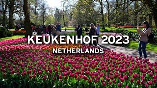  Keukenhof in April 2023 - Netherlands   [4K]