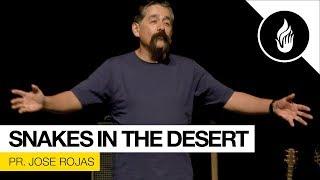 Snakes in the desert - Jose Rojas