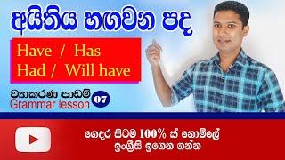 How to use "have, has, had and will have" / Spoken English in Sinhala / Sampath Kaluarachchi