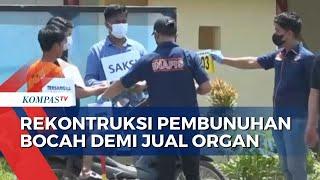 Rekontruksi Pembunuhan Bocah 11 Tahun, Polisi: Tak Ada Pembedahan dan Perdagangan Organ Manusia!