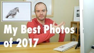 I Reveal My Best Photos of 2017 | Landscape and Wildlife Photography