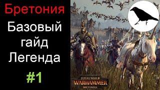 Базовый продвинутый гайд на Бретонию для легендарной сложности | Total War: Warhammer 2