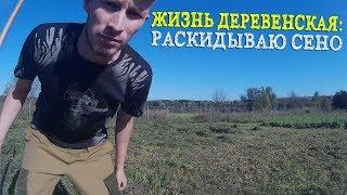 Раскидываю сено