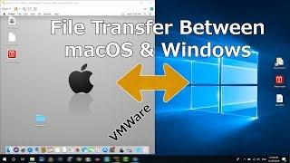 How To Share File Or Folder Between Mac And Windows on VMware