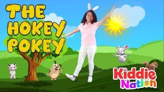 The Hokey Pokey (action song with lyrics)