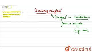 What is the optimum pH for the action of enzyme salivary amylase?