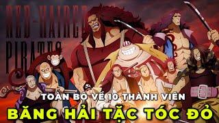 ALL IN ONE I TOÀN BỘ VỀ 10 THÀNH VIÊN BĂNG HẢI TẶC TÓC ĐỎ I REVIEW ONE PIECE