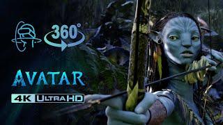 360°VR 3D 4K | Avatar Movie scenes in VR | Underwater Pandora, Come across Na'vi, Tree of Sound