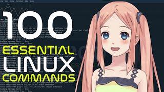 Top 100 Essential Linux & Terminal Commands - Beginner to Guru