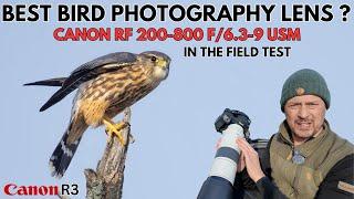 Best Bird Photography Lens | In the Field Review of the Canon RF 200-800 f6.3-f9 using the Canon R3