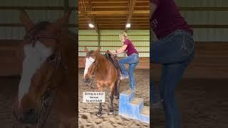 Riding as a Kid VS As an Adult #horses #horseriding #equestrian #farm