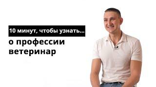 10 минут, чтобы узнать о профессии ветеринар