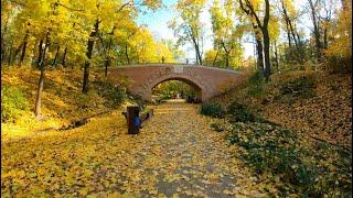 Autumn walk in Moscow, Autumn leaves, Neskuchniy garden 4K.