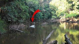 ALFATH LURE TOMAN II tes ting danau kalteng l part 1