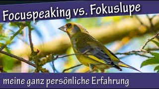 Focus Peaking vs Fokuslupe - meine ganz persönliche Erfahrung