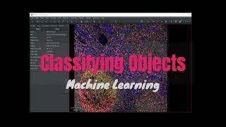 QuPath: Classifying Objects 2 [Machine Learning]