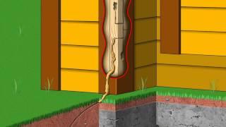 Solignum Termite Animation