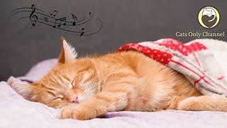 Music for Cats - Relaxing Sleep Music with Cat Purring Sounds