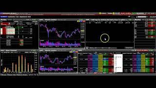 Interactive Brokers. The TWS Options Video. Best Options Broker 2021