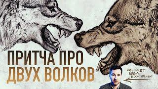 Притча "Два волка" — запоминается на всю жизнь