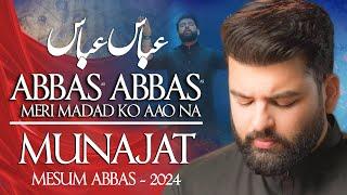 Abbas Abbas Meri Madad Ko Aao Na | Mesum Abbas Nohay 2024 | Munajat Mola Abbas Noha