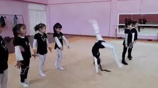 BADIIY GIMNASTIKA