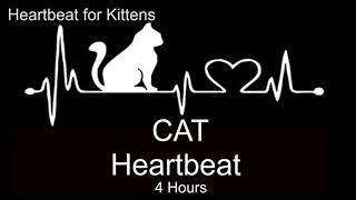 FOR THE KITTEN Heartbeat to sleep and soothe their anxiety