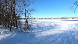 ASMR | Winter Walk | Walking in Woods | 2 Hours of Crunching Snow Sound | Crunchy