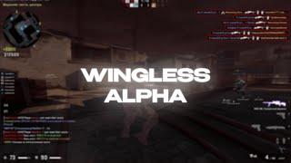 hvh highlights | public | wingless