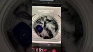 Sharp washing machine / lavadora