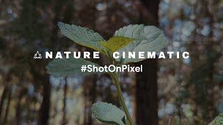 Shot on Google Pixel 6 Pro | Cinematic