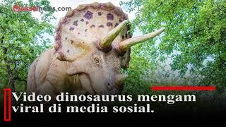 Viral Video Dinosaurus Triceratops Muncul di Magetan