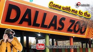 Come with me to The Dallas Zoo