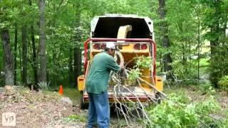 Atlanta Arborists Marietta Tree Service & Landscaping