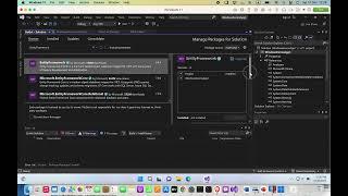 How to install Entity Framework package in Visual Studio Project | .NET Core and .NET Framework