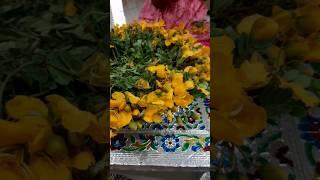 మా ఇంటి మొదటి బతుకమ్మ #bathukamma #bathukamma2024 #bathukammasongs2024 #flowerfestival #songs