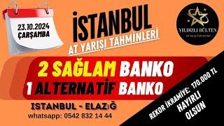 23 Ekim 2024 Çarşamba İstanbul At Yarışı Tahminleri