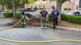 HCFR and HCSO On Scene At A Brush Fire