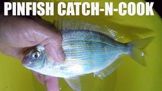 Can You Eat Pinfish? Catch and Cook, Pan Seared, Fried and Baked